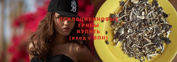СК Абинск