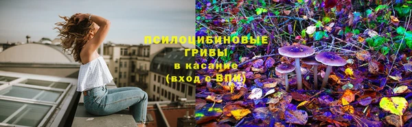 СК Абинск