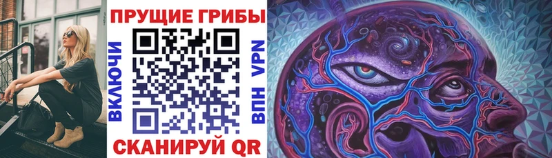 Галлюциногенные грибы прущие грибы  Сарапул 